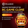 BC.Game Clone Script: whitelabel BC.game clone software